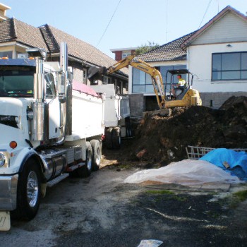 25 cubic meter truck and dog