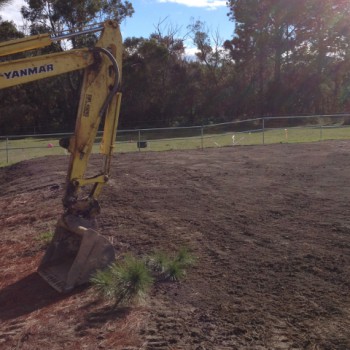 Back yard levelled